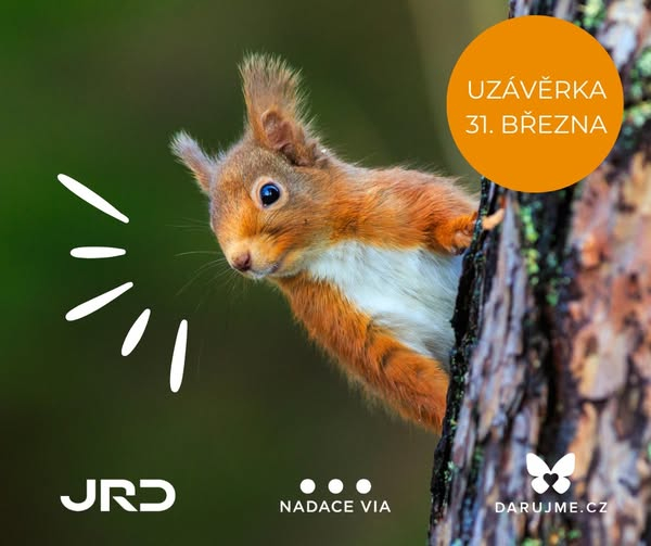 Nadace Via hledá projekty, které pozitivně ovlivní krajinu, životní prostředí, udržitelnost