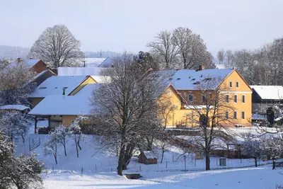 Paleta pod sněhem